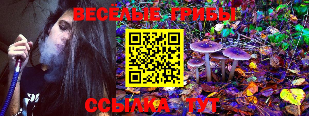 Галлюциногенные грибы Psilocybine cubensis  Псилоцибиновые грибы мухоморы  Вход с VPN  Ейск 